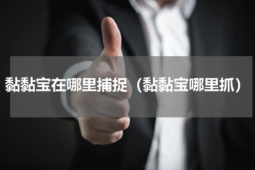 黏黏宝在哪里捕捉（黏黏宝哪里抓）