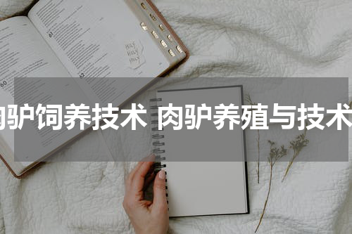 肉驴饲养技术 肉驴养殖与技术