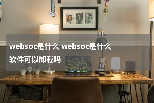 websoc是什么 websoc是什么软件可以卸载吗