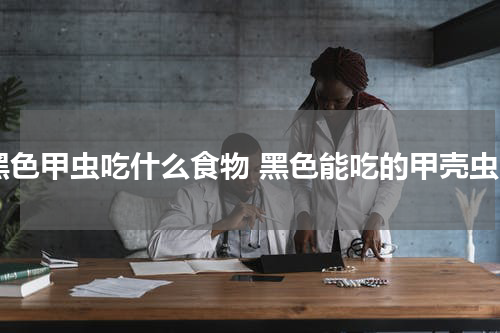 黑色甲虫吃什么食物 黑色能吃的甲壳虫