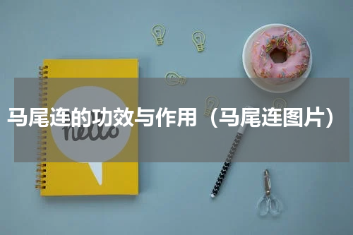 马尾连的功效与作用（马尾连图片）