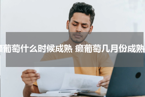 癞葡萄什么时候成熟 癞葡萄几月份成熟