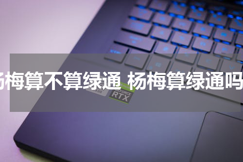 杨梅算不算绿通 杨梅算绿通吗