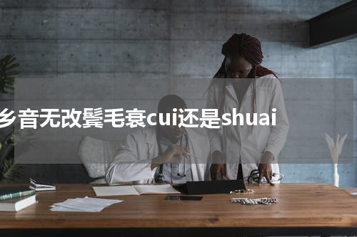 乡音无改鬓毛衰cui还是shuai