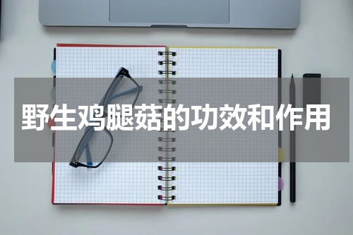 野生鸡腿菇的功效和作用