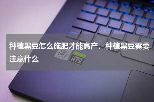 种植黑豆怎么施肥才能高产，种植黑豆需要注意什么