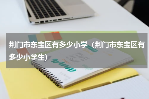 荆门市东宝区有多少小学（荆门市东宝区有多少小学生）