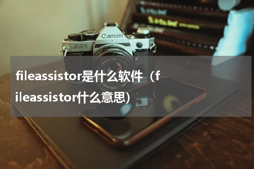 fileassistor是什么软件（fileassistor什么意思）