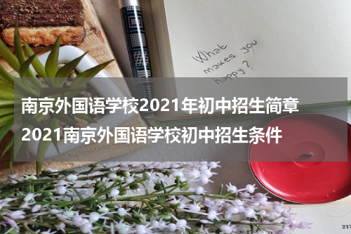 南京外国语学校2021年初中招生简章 2021南京外国语学校初中招生条件
