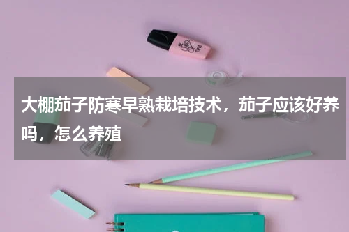 大棚茄子防寒早熟栽培技术，茄子应该好养吗，怎么养殖