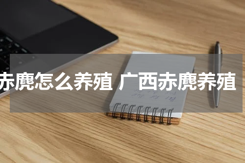 赤麂怎么养殖 广西赤麂养殖
