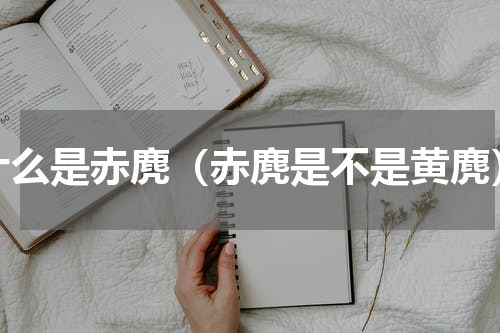 什么是赤麂（赤麂是不是黄麂）