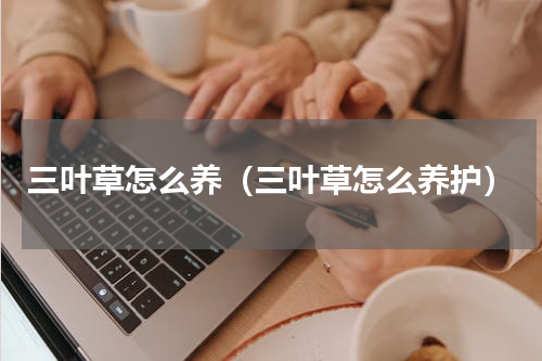 三叶草怎么养（三叶草怎么养护）