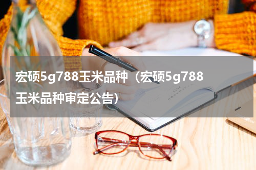 宏硕5g788玉米品种（宏硕5g788玉米品种审定公告）