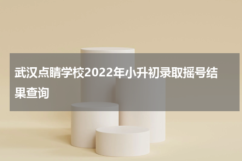 武汉点睛学校2022年小升初录取摇号结果查询