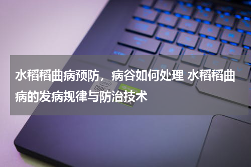水稻稻曲病预防，病谷如何处理 水稻稻曲病的发病规律与防治技术