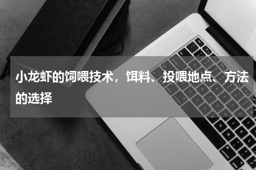 小龙虾的饲喂技术，饵料、投喂地点、方法的选择