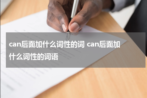 can后面加什么词性的词 can后面加什么词性的词语