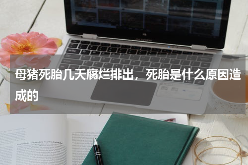 母猪死胎几天腐烂排出，死胎是什么原因造成的