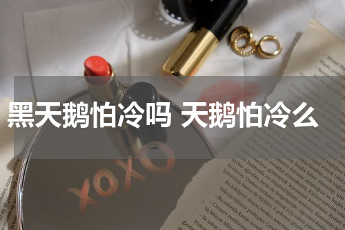 黑天鹅怕冷吗 天鹅怕冷么