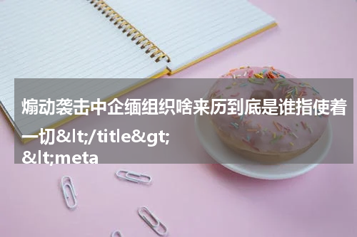 煽动袭击中企缅组织啥来历到底是谁指使着一切</title>
<meta