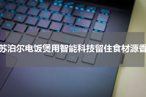 苏泊尔电饭煲用智能科技留住食材源香