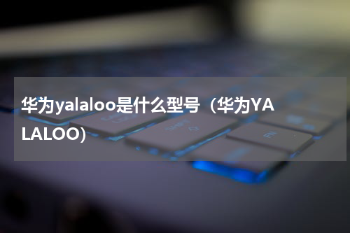 华为yalaloo是什么型号（华为YALALOO）