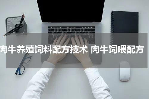 肉牛养殖饲料配方技术 肉牛饲喂配方
