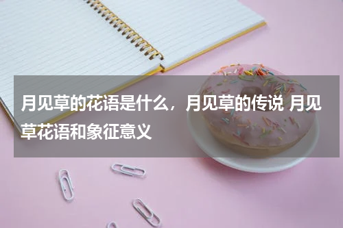 月见草的花语是什么，月见草的传说 月见草花语和象征意义