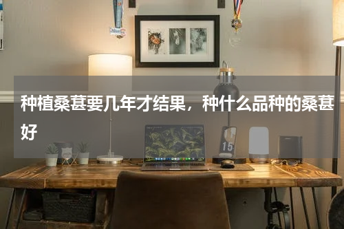 种植桑葚要几年才结果，种什么品种的桑葚好