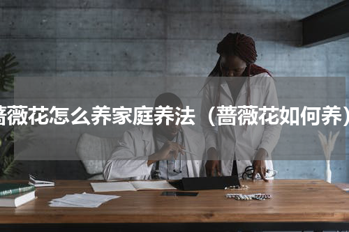 蔷薇花怎么养家庭养法（蔷薇花如何养）