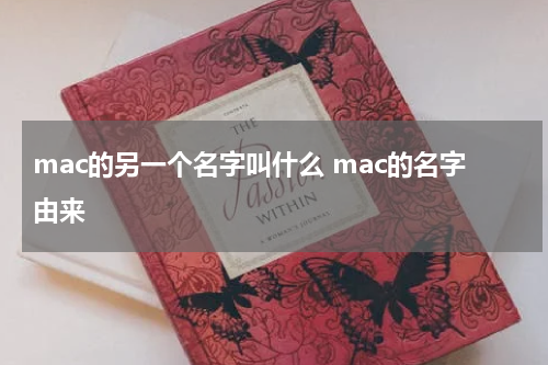 mac的另一个名字叫什么 mac的名字由来