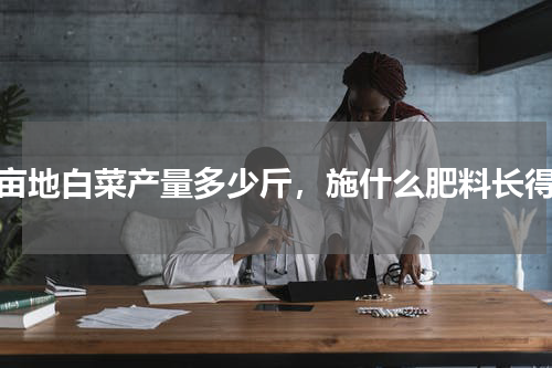 一亩地白菜产量多少斤，施什么肥料长得快