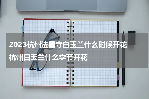 2023杭州法喜寺白玉兰什么时候开花 杭州白玉兰什么季节开花