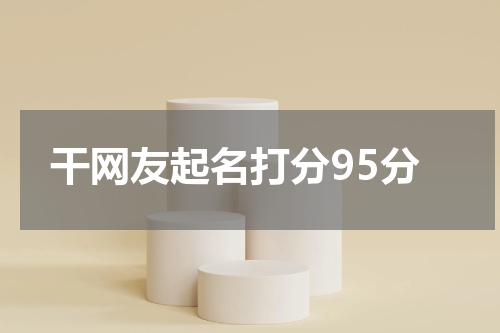 干网友起名打分95分