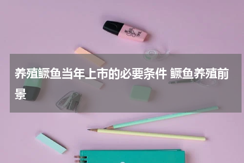 养殖鳜鱼当年上市的必要条件 鳜鱼养殖前景