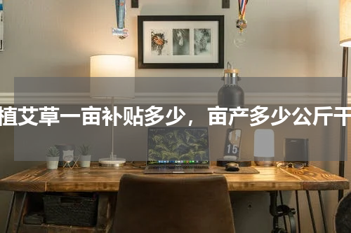 种植艾草一亩补贴多少，亩产多少公斤干货