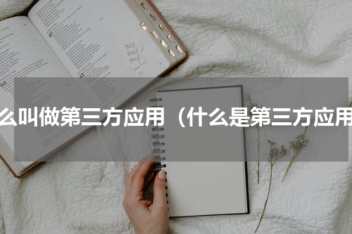 什么叫做第三方应用（什么是第三方应用）