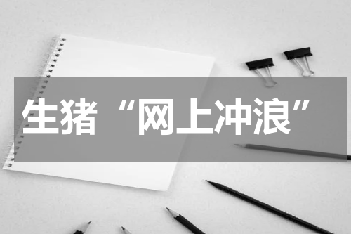 生猪“网上冲浪”