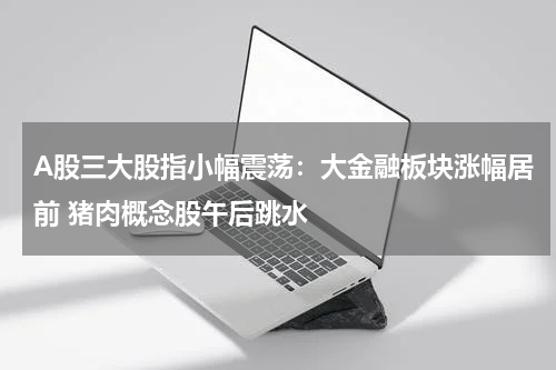 A股三大股指小幅震荡：大金融板块涨幅居前 猪肉概念股午后跳水