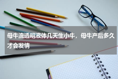 母牛流透明液体几天生小牛，母牛产后多久才会发情