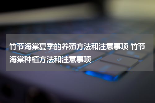 竹节海棠夏季的养殖方法和注意事项 竹节海棠种植方法和注意事项