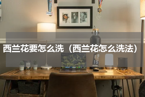 西兰花要怎么洗（西兰花怎么洗法）