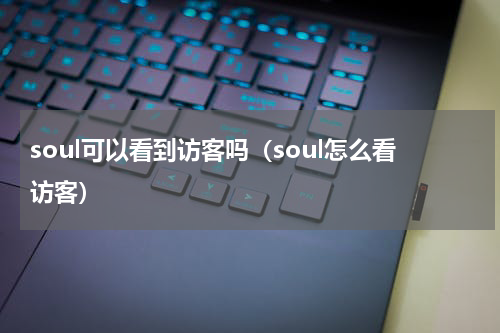 soul可以看到访客吗（soul怎么看访客）