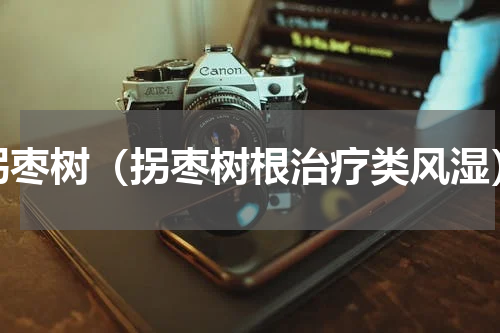 拐枣树（拐枣树根治疗类风湿）