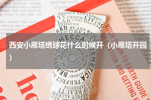 西安小雁塔绣球花什么时候开（小雁塔开园）