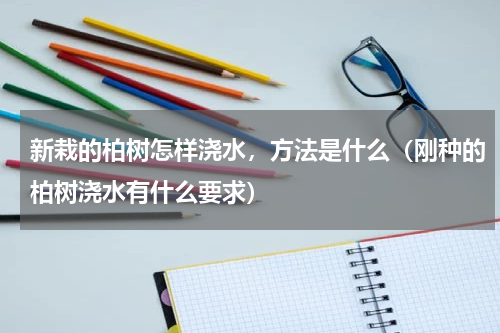 新栽的柏树怎样浇水，方法是什么（刚种的柏树浇水有什么要求）
