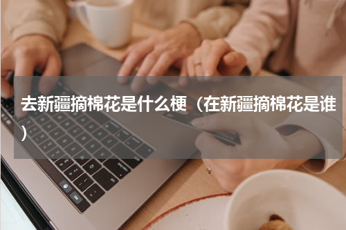 去新疆摘棉花是什么梗（在新疆摘棉花是谁）