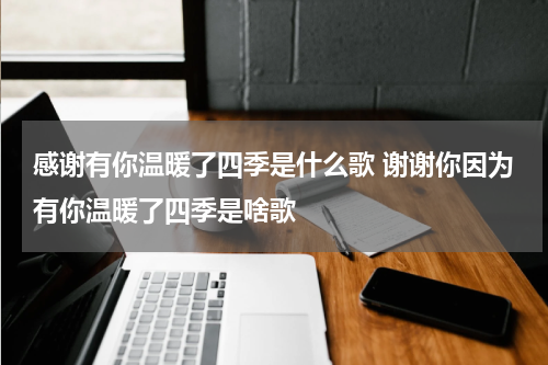 感谢有你温暖了四季是什么歌 谢谢你因为有你温暖了四季是啥歌