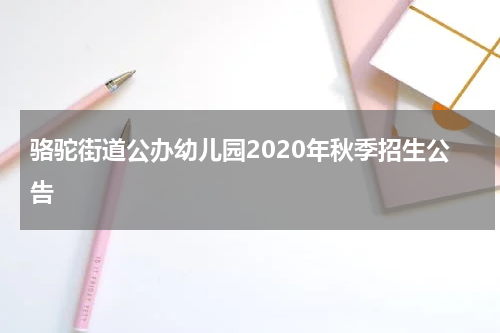 骆驼街道公办幼儿园2020年秋季招生公告